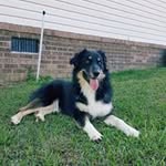Sherry Williams O'Neil - @sherry.oneil - Instagram