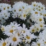 Sherry Overholt - @swoverholt - Instagram