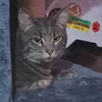 sherry paddock - @sherrypaddock4 - Instagram