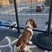 Sherry Paddock - Facebook