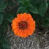Sherri Parkhurst - @sherbear76 - TikTok