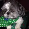 Sherry Paschall - @sherry.paschall - TikTok