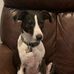 Sherri Porterfield - Facebook