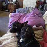 Sherry Howell Porterfield - @howellporterfield - Instagram
