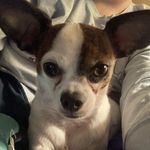 Sherry Porterfield - @sherryporterfield55 - Instagram
