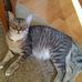 Sherry Porterfield - Facebook