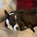Sherry Pratt - Facebook