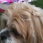 Sherry Pratt - @sherry.pratt.7 - Instagram