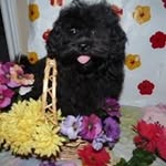 Sherry Pratt - @sherry.pratt.9887 - Instagram