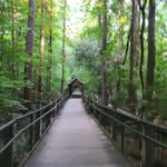 Sherry Pratt - @sherry.pratt.mt - Instagram