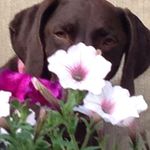 Sherry Mansfield Preston - @2gspsmom - Instagram
