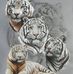 Sherry Preston - Facebook