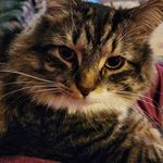 Sherry Sims Preston - @sherrylynnpreston - Instagram
