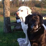 Sherry Pugh - @pugh8484 - Instagram