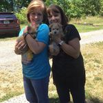 Sherry Tate Pugh - @sammy_and_lilah - Instagram
