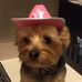 Sherry Plymire - Facebook