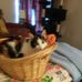 Sheri Pulliam - Facebook