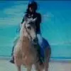 sherryputnam2 - @sherryputnam2 - TikTok