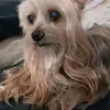 sherryputnam7 - @sherryputnam7 - TikTok