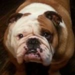 Sherry Raines - @sherryraines3 - Instagram