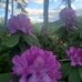 Sherry Raines - Facebook