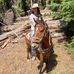 Sheri Rider - Facebook