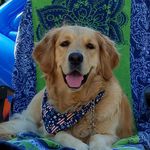 Sherry Dell Rider - @sherryrider - Instagram