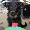 Sherry Riffe - @sherry.riffe3 - TikTok