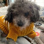 Sherry Ring - @ringsalot - Instagram