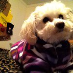 Sherry Rios - @sherryrios - Instagram