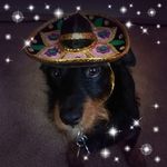 Sherry Rivera - @sherry.rivera.75248 - Instagram