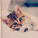 Sherry Rivera - @sh_er.y08 - Instagram