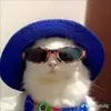 Sherry Robbins - @sherry.robbins2 - TikTok