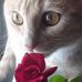 Sherry Robbins - Facebook