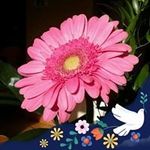 Sherry Rockwell - @sherryrockwell1 - Instagram