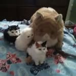 Sherry L Roop - @roopsherry45 - Instagram