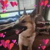 Sherry Roop Hall - @sherry.roop.hall - TikTok