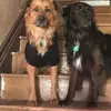 Sherry Rosenberger77 - @sherryrosenberger0 - TikTok