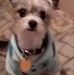 Sherry Ruby - Facebook