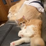 シェリーとるう☺︎ - @sherry_to_rue - Instagram
