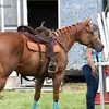 Sherry Russ - @sherry.russ - TikTok