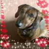 Sherry Russell - @sherry.russell91 - TikTok