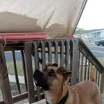 Sherry Rutledge Claytor - @claytoriv - Instagram