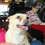 Sherry Saltzman - @sherrysaltzman - Instagram