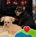 Sherry Saltzman - Facebook