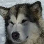 Sherry Sawyer - @sawyersherry - Instagram