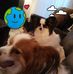 Sherry Schofield - Facebook