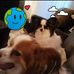 Sherry Schofield  - Facebook