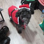 Sherry Schofield - @sherry.schofield.98 - Instagram