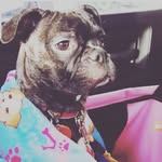 seh - @sherryscribner59 - Instagram